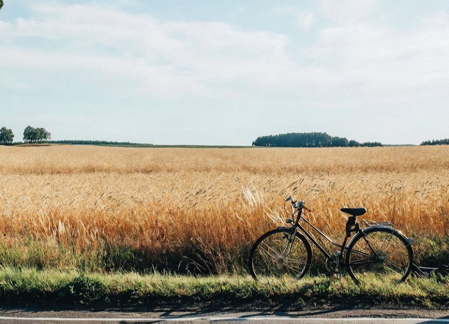 Our summer suggestions
