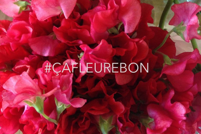 ÇaFleureBon Review